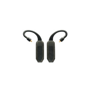IFI AUDIO GO POD AIR Bluetooth