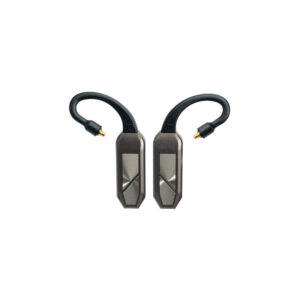 IFI AUDIO GO pod Max Bluetooth
